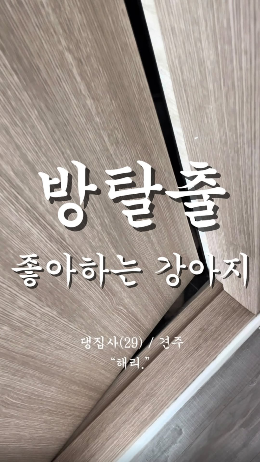 haeristagram 게시물 이미지: 근데 방탈출 재밋긴 해.
📌화질이 깨져서 재업로드 해두어요💛

#리트리버해리...