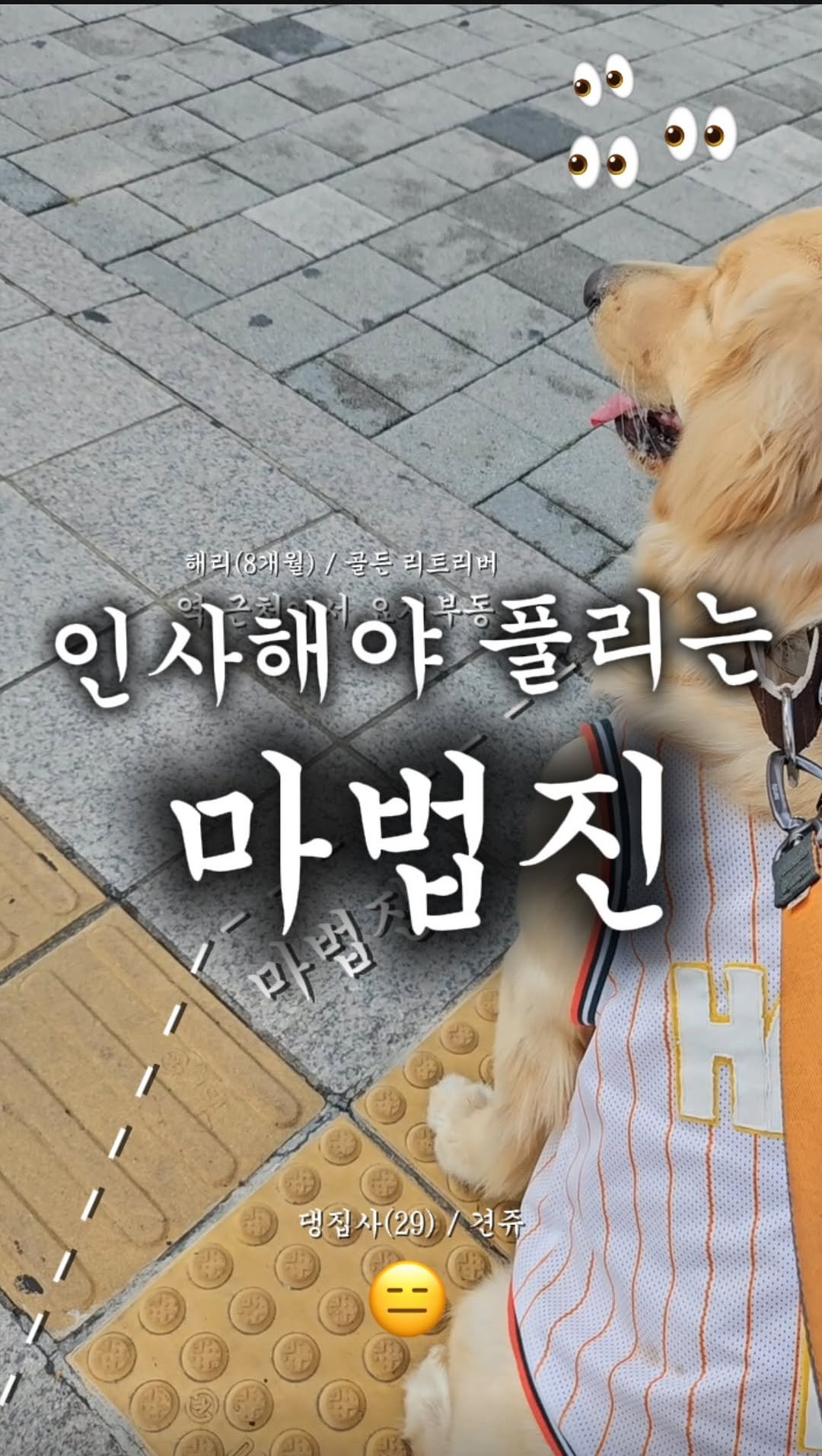 haeristagram 게시물 이미지: 지나가다 보신다면 얼음땡좀 부탁드립니다.
결계야 뭐야… 
오늘도 길바닥 헬퍼분들께...
