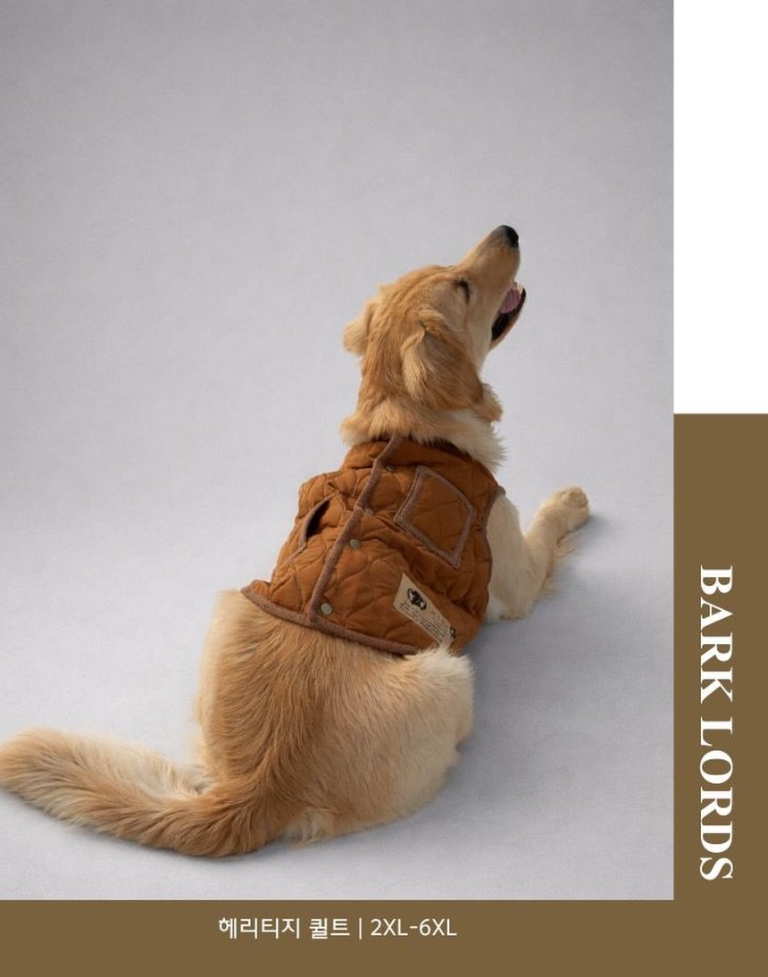 Photo shared by 바크로즈 on January 17, 2026 tagging @haeristagram. May be an image of golden retriever, fur, vest and text that says 'BARK LORDS 헤리티지 퀄트 헤리티지퀄트|2XL-6XL 2XL 2XL-6XL'.