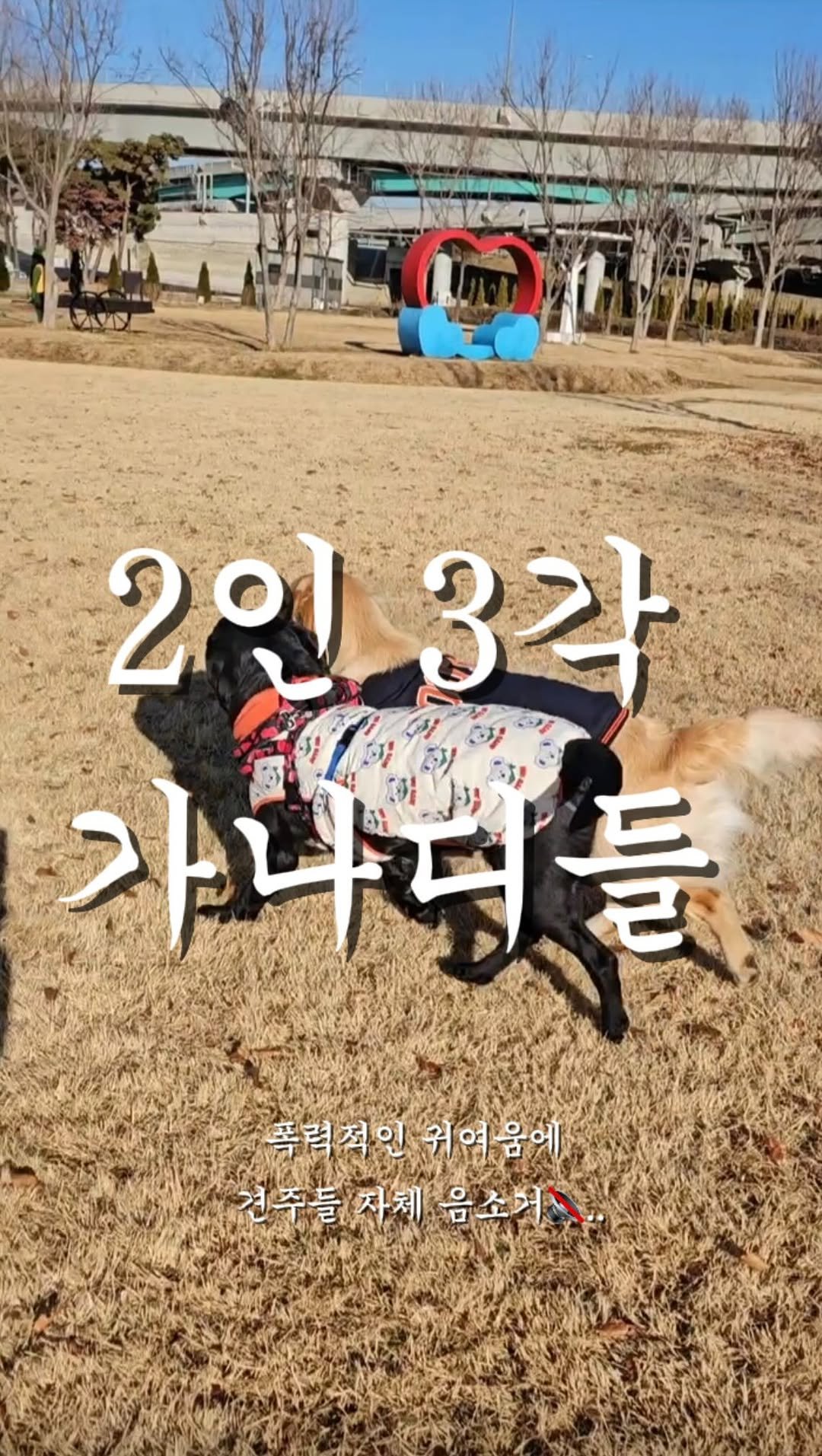 haeristagram 게시물 이미지: 하.. 오늘은 가구와 멘탈만 뿌시지 않았습니다.
심장도...