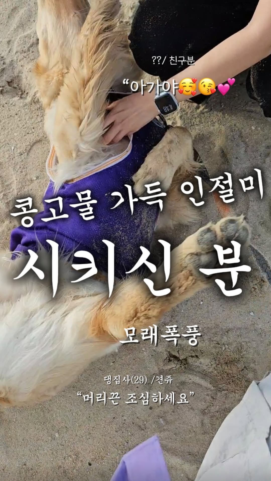 haeristagram 게시물 이미지: 두 분 콩고물 가득 묻혀가셨습니다.

#인절미 #리트리버해리 #리트리버 #다이소꿀템...