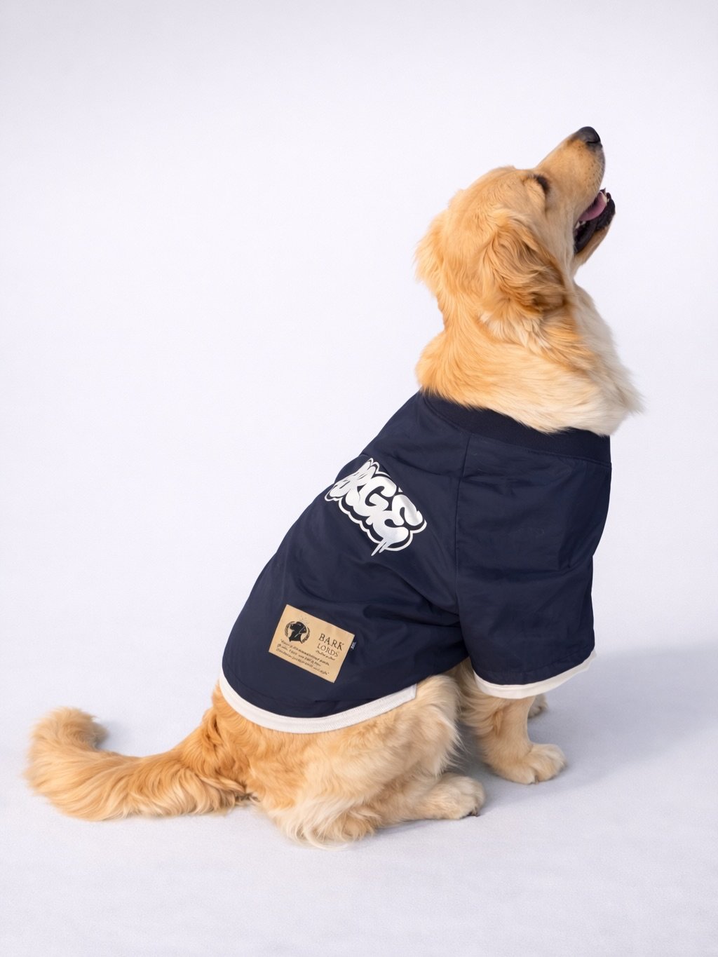 Photo shared by 바크로즈 on March 17, 2026 tagging @haeristagram. May be an image of golden retriever, raincoat and text.