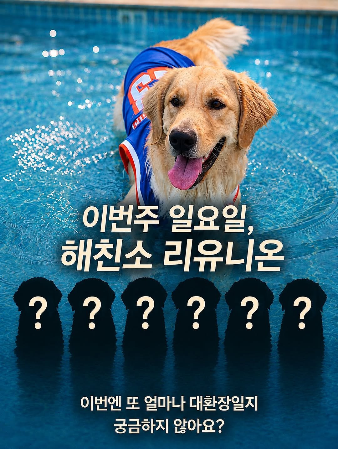 haeristagram 게시물 이미지: 이번엔 수영장이다!💦

드디어 올 것이 왔습니다😂
결국 성사된 수영장...