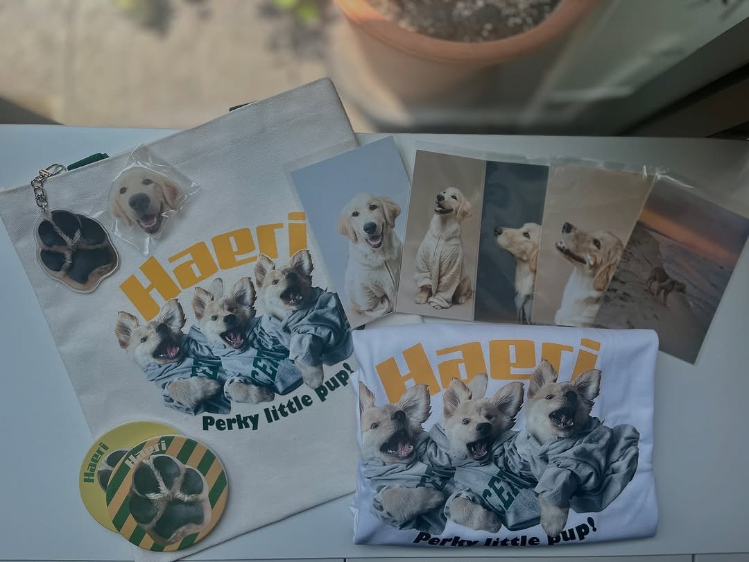 Photo by 리트리버 해리 on June 22, 2025. May be an image of text that says 'a pup! 노친민부 Perky little little Haeri ाয় иyc'.