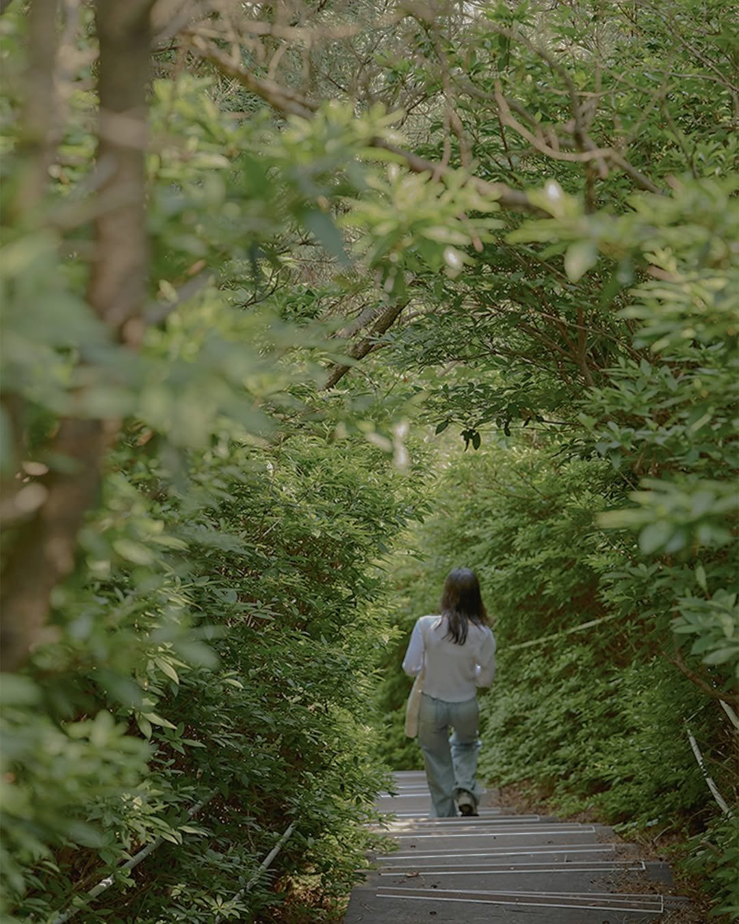 Photo by 해비치호텔앤드리조트 on September 17, 2025. May be an image of 1 person.