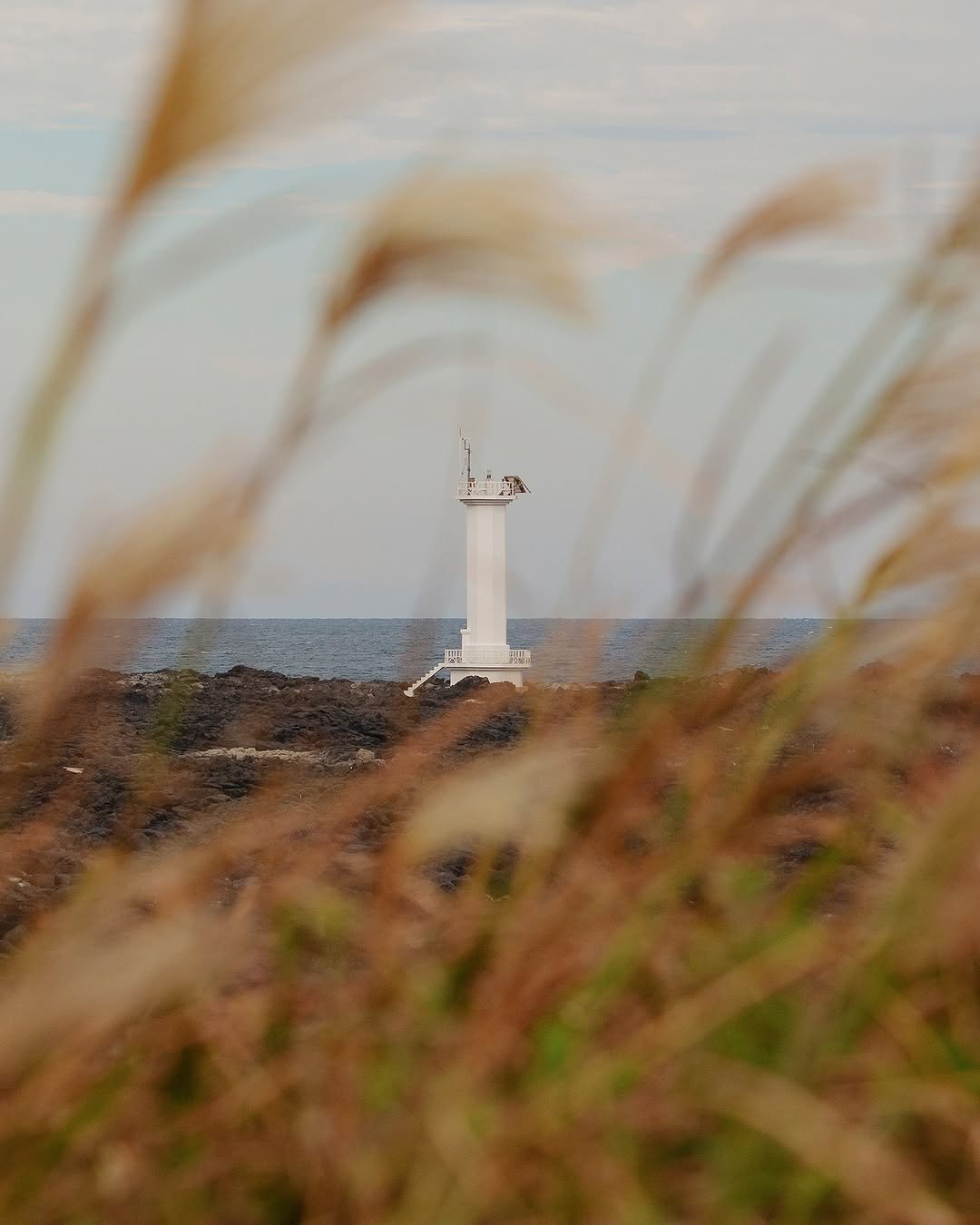 Photo by 해비치호텔앤드리조트 on September 28, 2025.