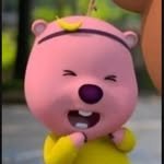 ___looppy 프로필 사진