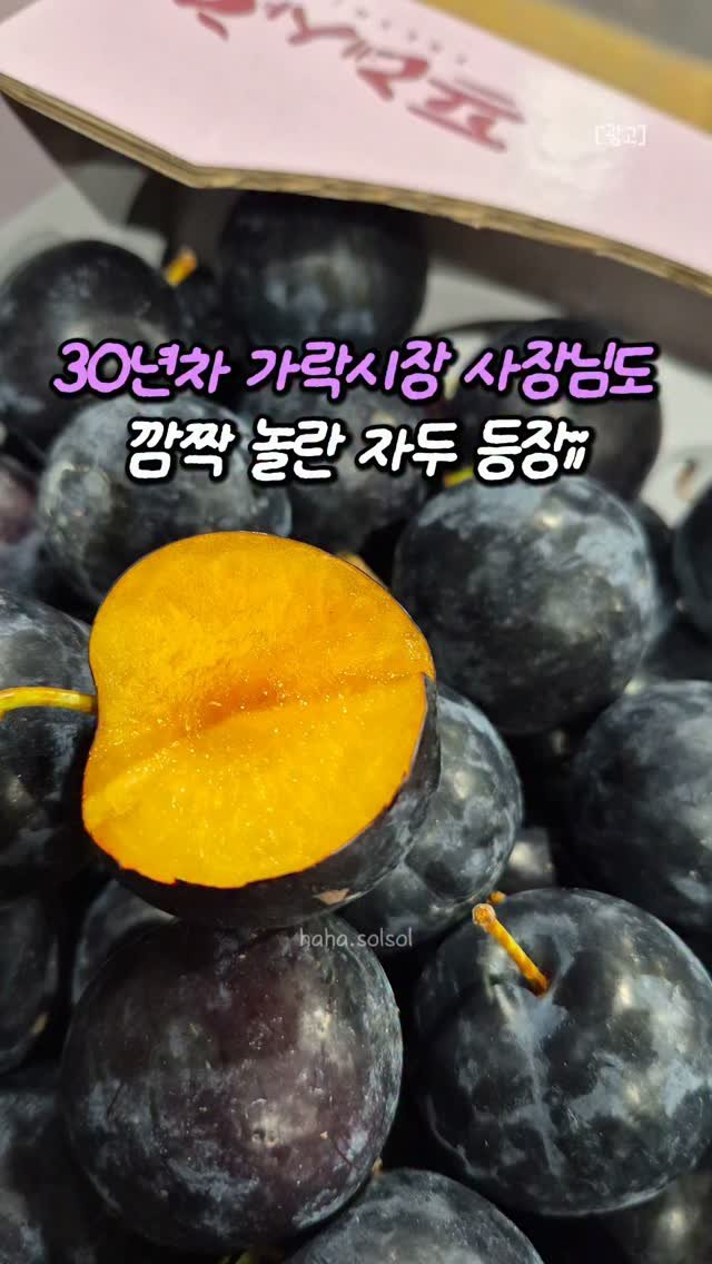 haha.solsol 게시물 이미지: 🙆🏻‍♀️솔솔하하
✅ 프로필 바로가기👉🏻 @haha.solsol
✅ 댓글에 "자두"...
