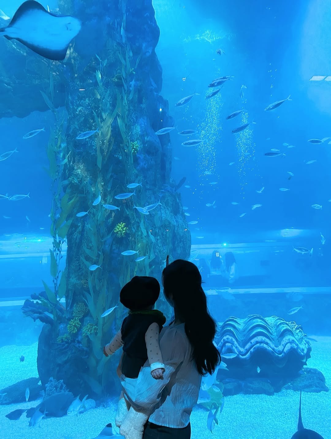 Photo by 쇼호스트 서혜림 on March 20, 2026. May be an image of people kissing, fish, aquarium and text.
