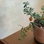 uyun.hui 프로필 사진