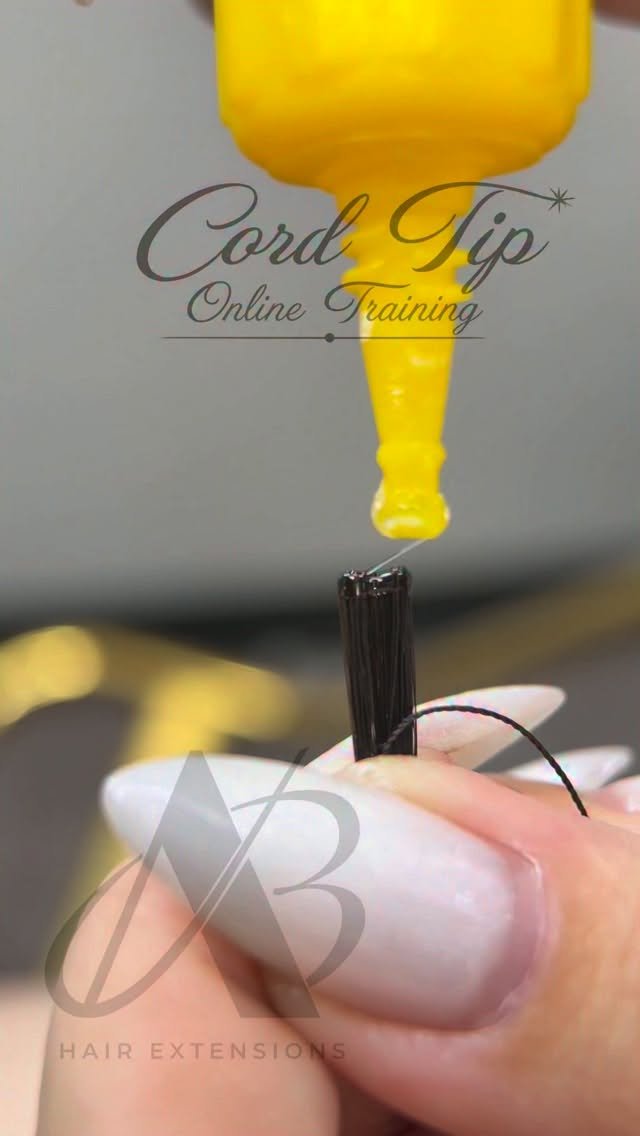 hair_extension_la 게시물 이미지: The online training for my new signature...