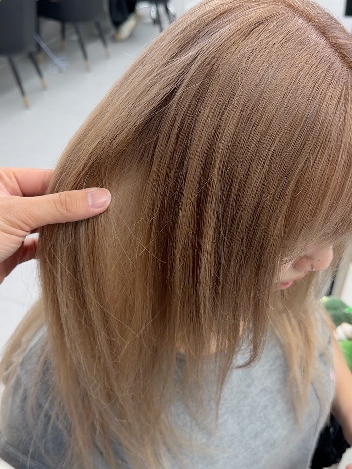 haircolor_bj 게시물 이미지: 기본카메라로도 담기는 핀터레스트 베이지🤎

시술 전 이력은 셀프탈색과 컬러샴푸...