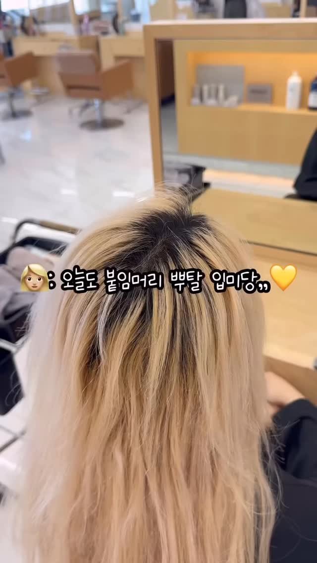 hairdia_suwon 게시물 이미지: ✨붙임머리 탈색✨
붙임머리 뿌염, 탈색, 전체염색을 부담스러워 하는 디자이너도...