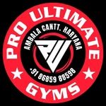 pug_ambalacantt 프로필 사진