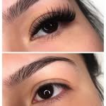 diarylash.official 프로필 사진