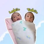 kangdantwins 프로필 사진