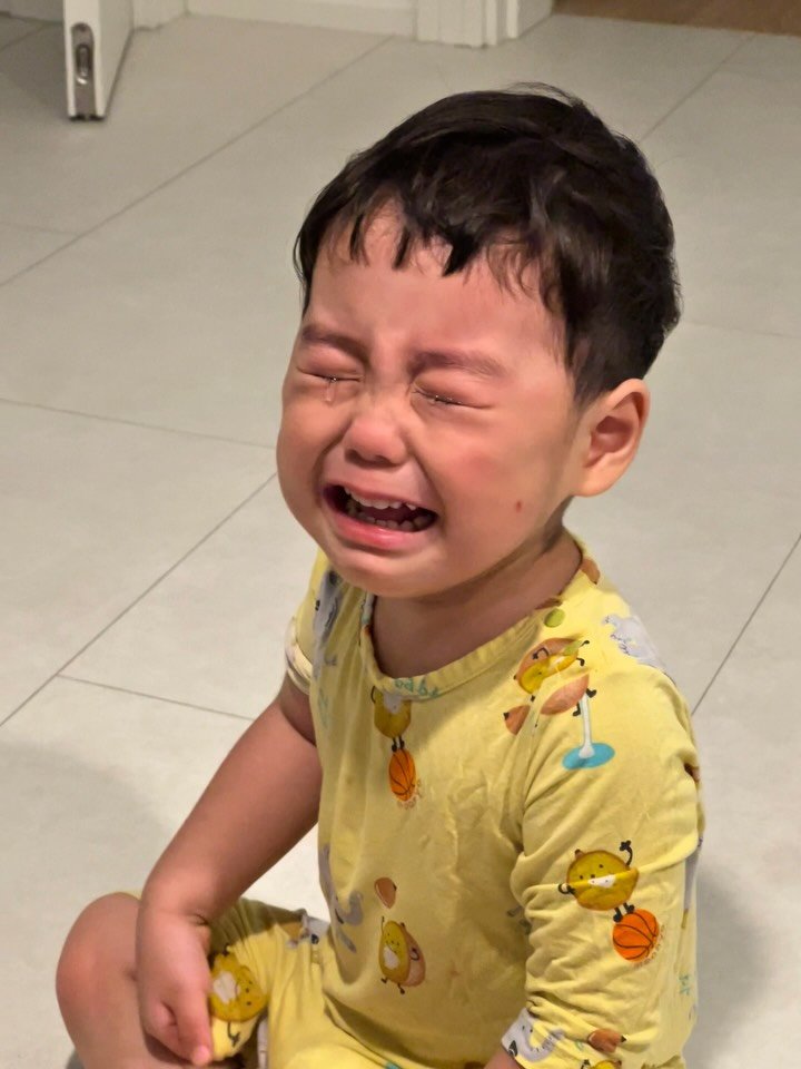 hajunmom_daily 게시물 이미지: 지운언니가 먼저 할머니가방 들고 놀고있었는데
갑자기 서준이가 와서 맨다고 뺏기...