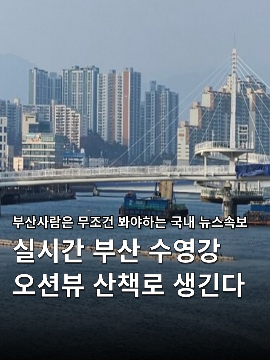 Photo shared by 하쿠나뉴스 | H.K.U NEWS 🇰🇷 on February 17, 2026 tagging @busancity, and @busan_suyeong. May be an image of text that says '부산사람은 무조건 봐야하는 국내 뉴스속보 실시간 부산 수영강 오션뷰 산책로 생긴다'.