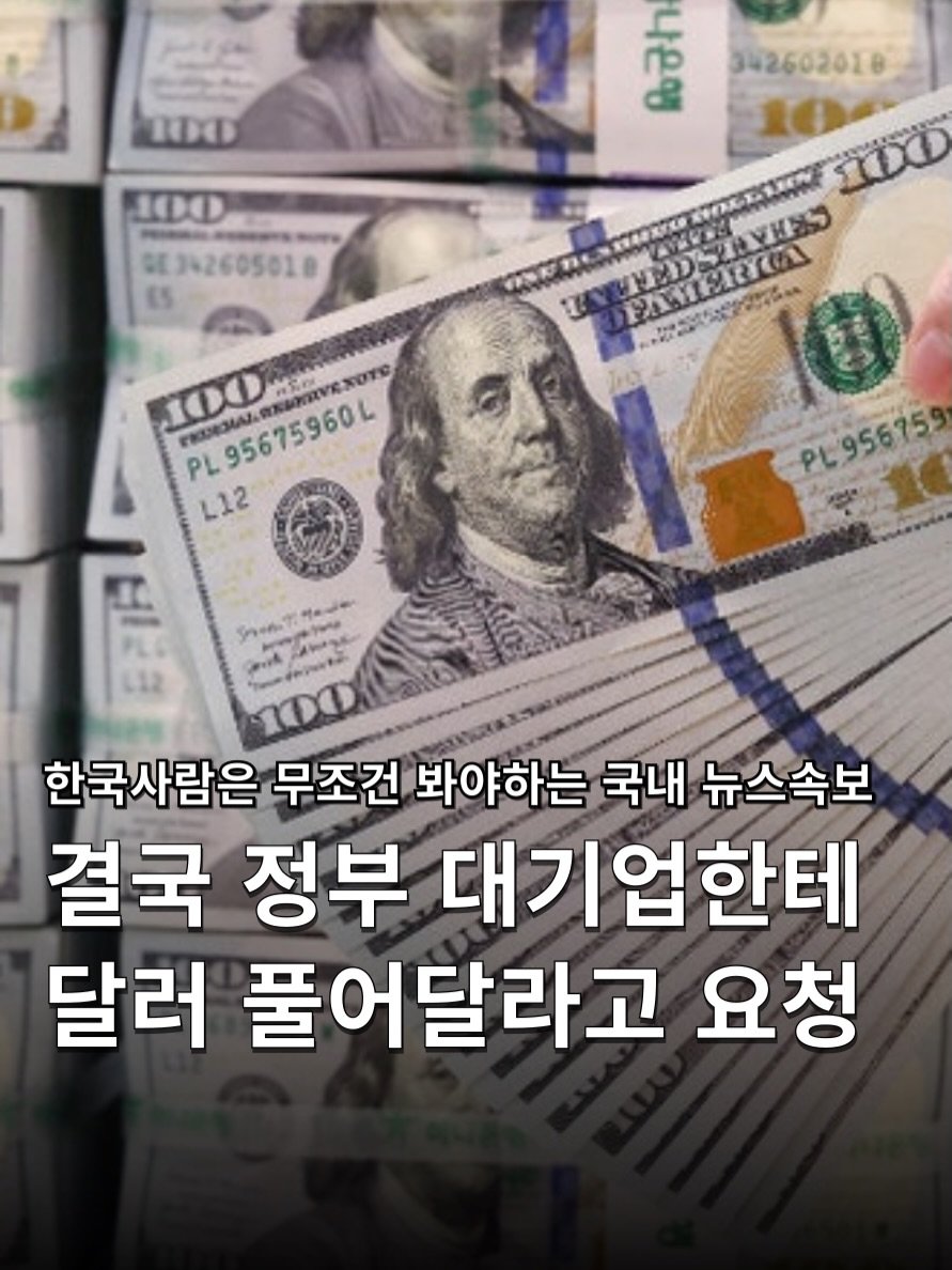 hakuna_news 게시물 이미지: .
결국 정부 대기업한테 달러 풀어달라고 요청 💸
[ Korea Exchange...