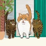 halmangcat 인스타그램 프로필 사진