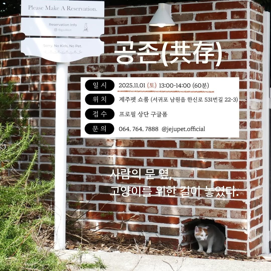 Photo by 할망(halmangcat) on October 29, 2025. May be an image of Norwich terrier and text that says 'Please Make ١ Reservation. Reservation| Info 3OppaBKoй Sorry oKi No Kids Sorry.NoKids,NoPet ids. No ြတတ်ခသ် ids,No Pet. 일 공존(. 2025.11.01 (토) 13:00-14:00 (60분) 위치 수 제주펫 쇼룸 (서귀포 남원읍 지주컷소룸(서규표남월유현신로.530원t72-3 한신로 531번길 22-3) 프로필 상단 구글폼 의 064. 764. 7888 @jejupet.official 사람의 고양이를 위한 길이 고양이들위한길아봉있다. 홍었다.'.