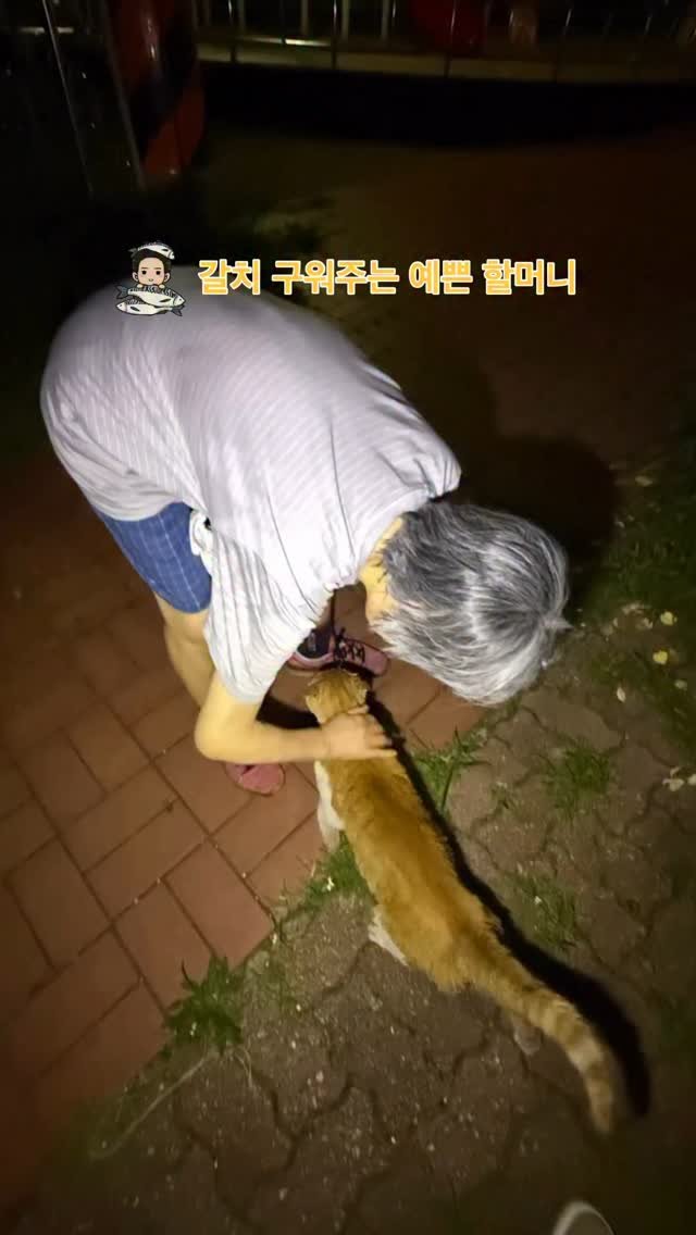 halmangcat 게시물 이미지: 삼춘, 이제 그 골목은 가지 말아요.

여름이·아가씨·만복씨·돈가스와
지금 골목을...