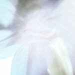 161_.cm 프로필 사진