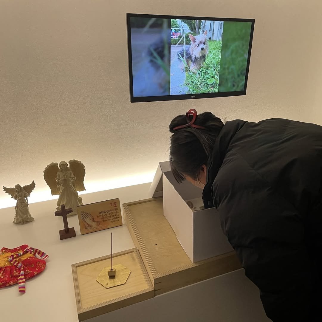 Photo by 하개월 ㅣ 수어 농인 청각장애인 on November 28, 2021.