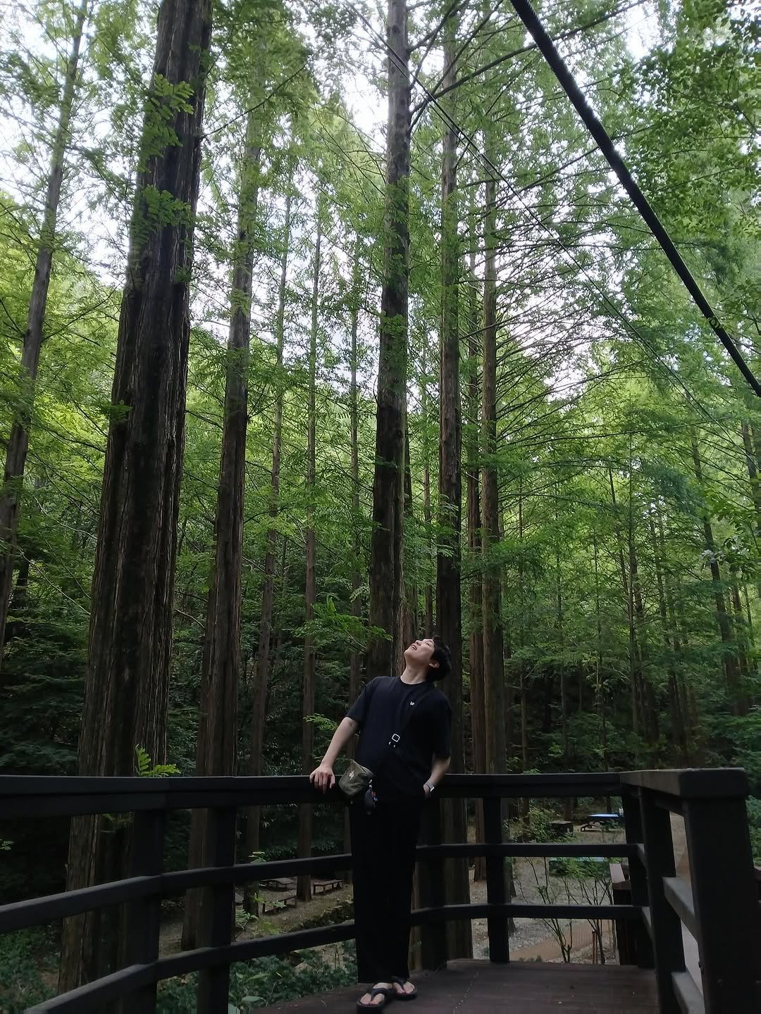 Photo by 임한빈 in 장태산 자연휴양림.