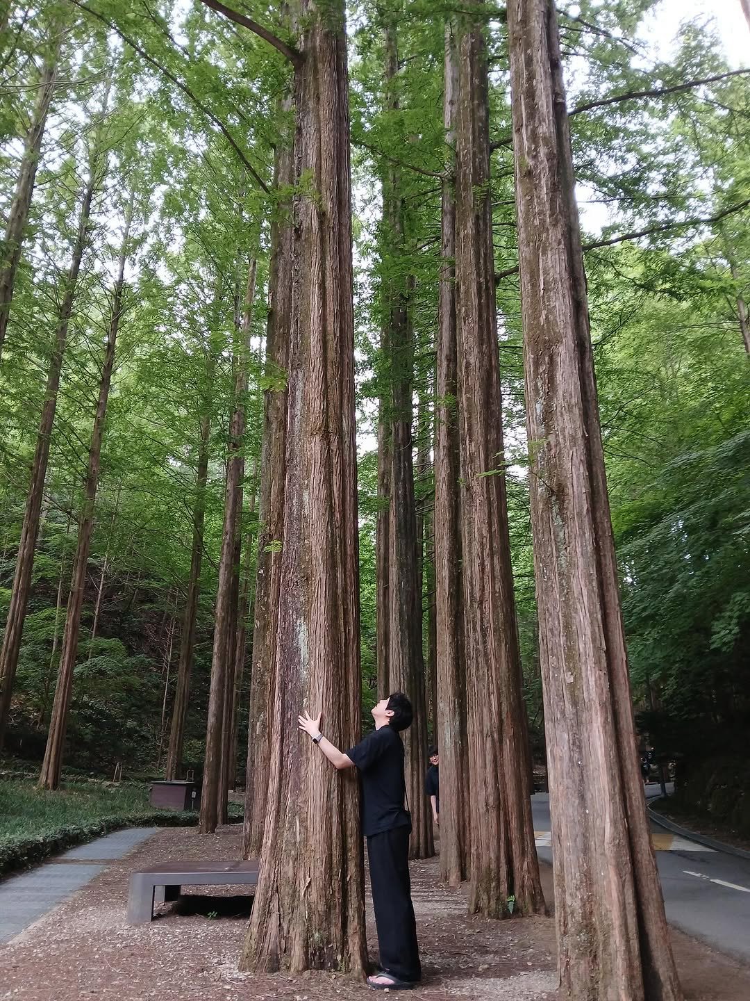 Photo by 임한빈 in 장태산 자연휴양림.