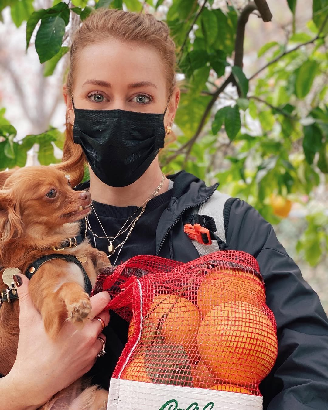 han 게시물 이미지: Citrus season / orange you great 🍊