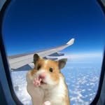 bee__ss 프로필 사진