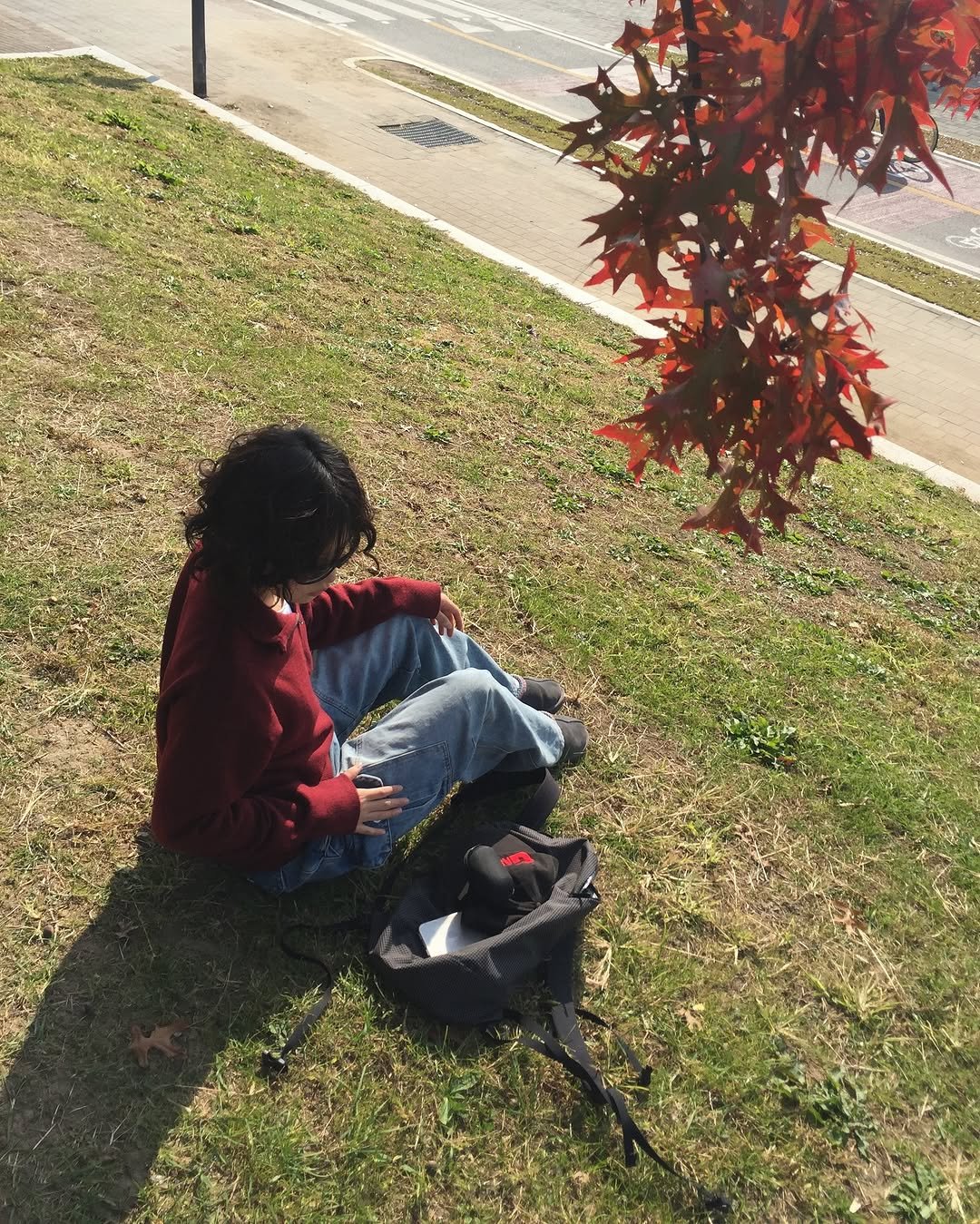 Photo by 한울 | 모노한울 on November 07, 2025. May be an image of grass, park, curb and text.