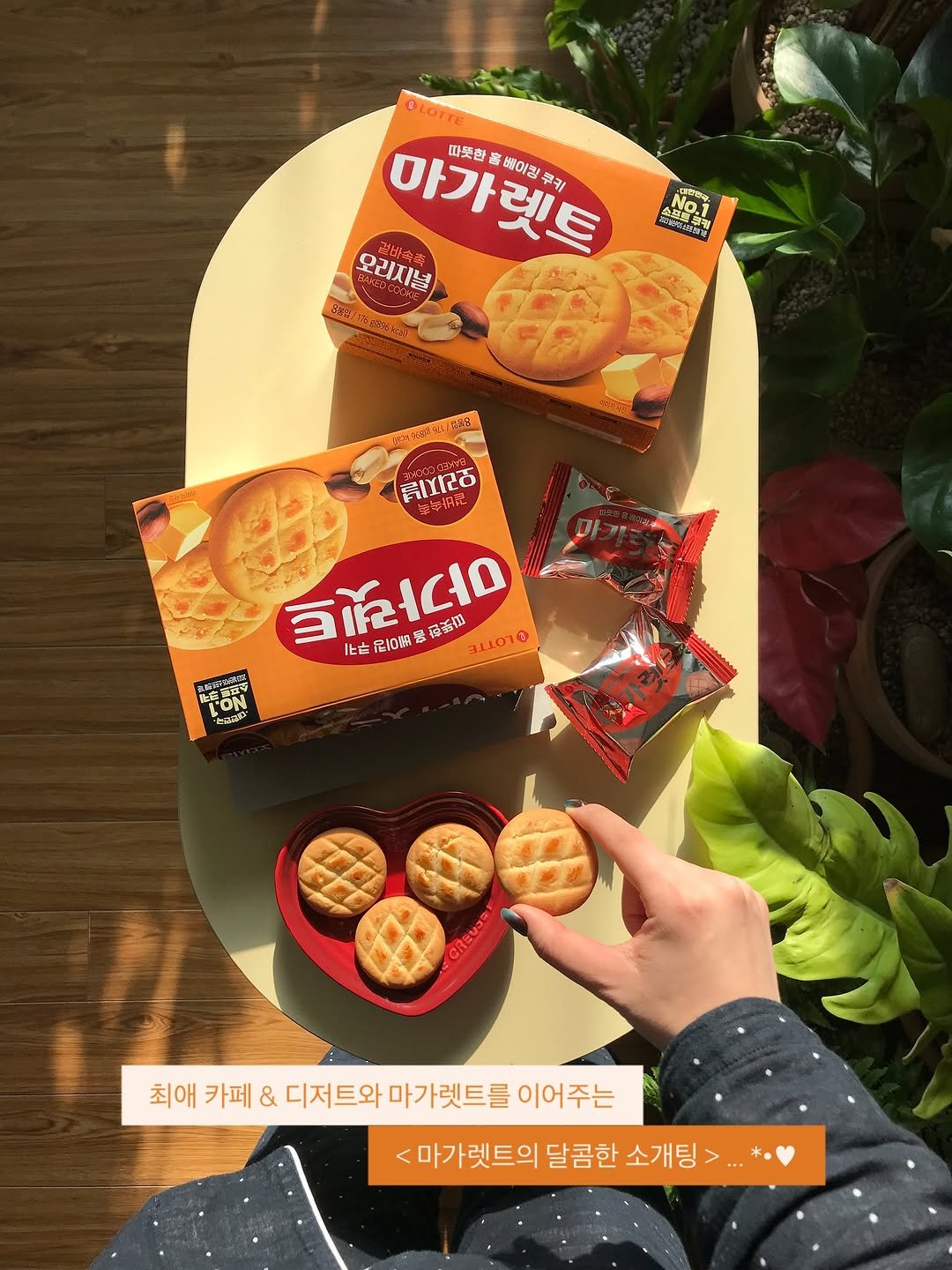 Photo shared by 한 컾 | 카페 • Cafe on November 07, 2025 tagging @lottewellfood. May be an image of crackers, wafer, cookie and text.