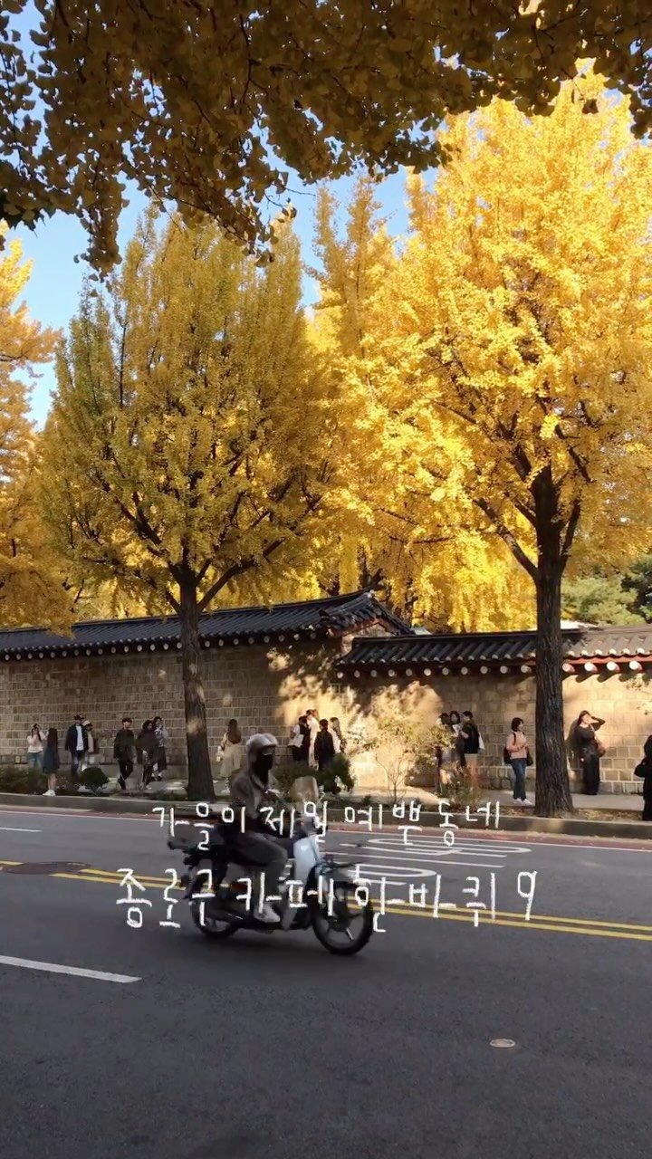 han_coff__ 게시물 이미지: 저장 | 종로에 다 모인 은행•단풍나무 뷰 카페9곳 🍁

@@가을 지나기 전에...