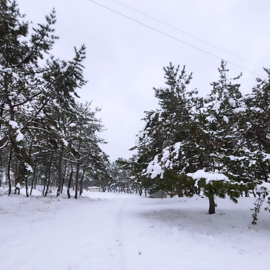 hanasaju 게시물 이미지: 행복한 크리스마스 보내세요♡

#크리스마스 
#화이트크리스마스 
#눈
#눈오는날❄️...