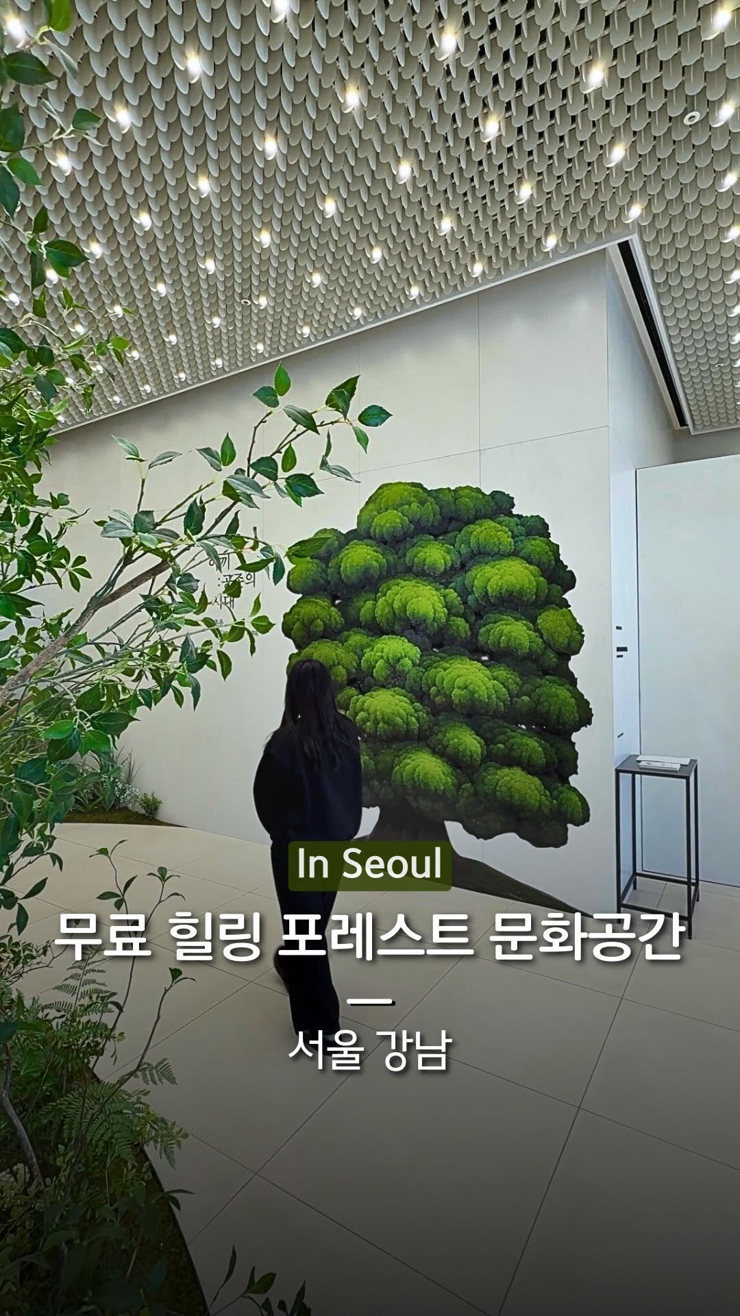 hanba_tang_ 게시물 이미지: 강남에서 무료로 카페, 티코스터, 테라리움 체험까지
즐길 수 있는 복합문화공간을...