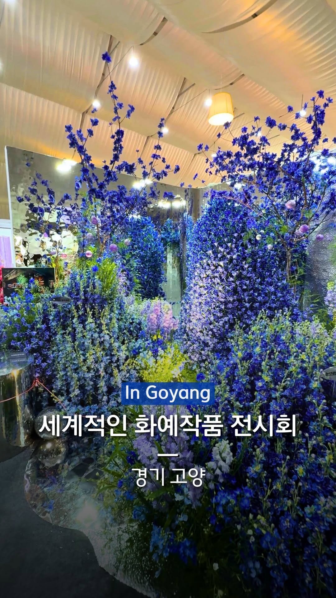 hanba_tang_ 게시물 이미지: 세계적인 화예 작품들과 아름다운 꽃들로 가득한 고양국제꽃박람회🌷*광고

이미 많은...