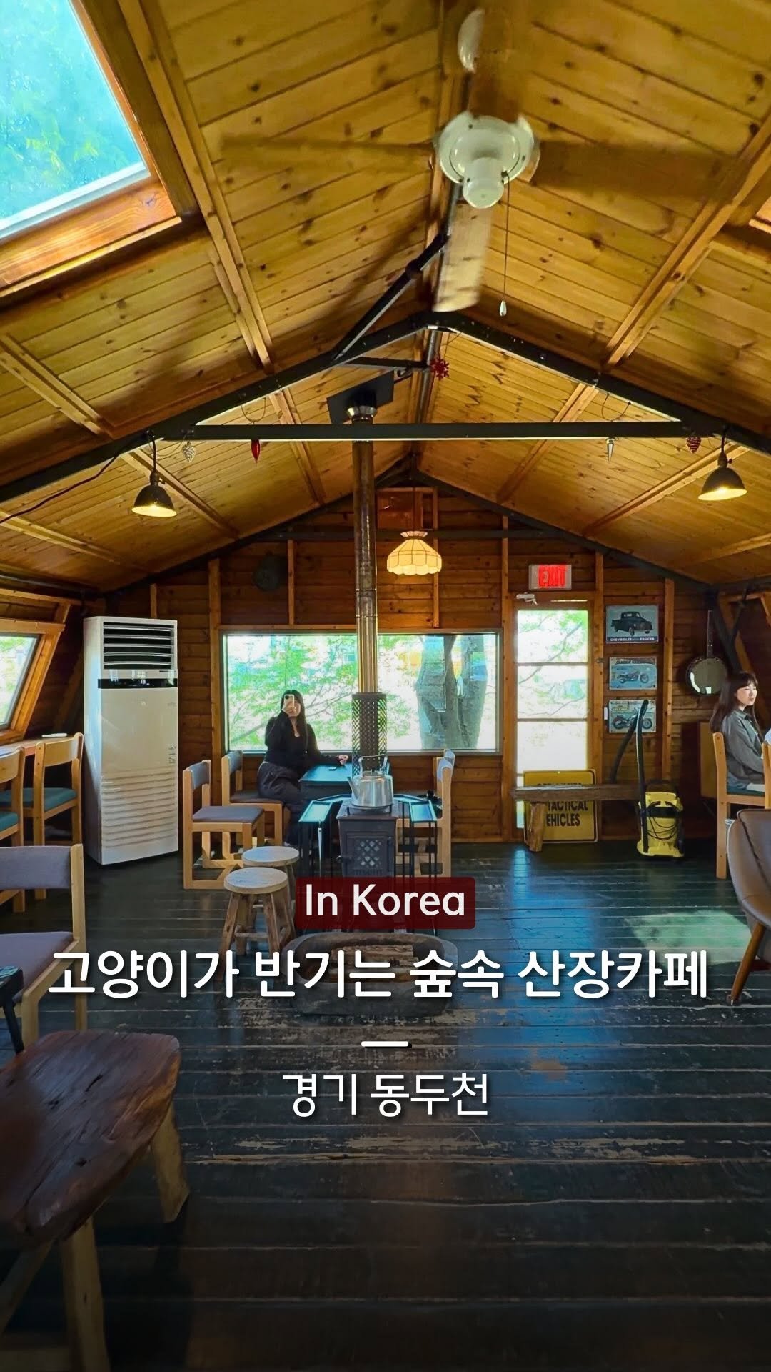 hanba_tang_ 게시물 이미지: 숲속에서 귀여운 고양이들이 반겨주는 
산장 감성 카페를 소개합니다 🌿🐈

카페...