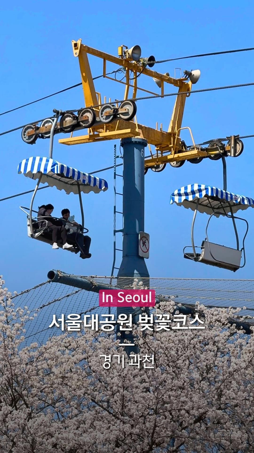 hanba_tang_ 게시물 이미지: 벚꽃·코끼리열차·동물원까지 한 번에 즐기는 코스

벚꽃 시즌에 예쁜 장소들이...