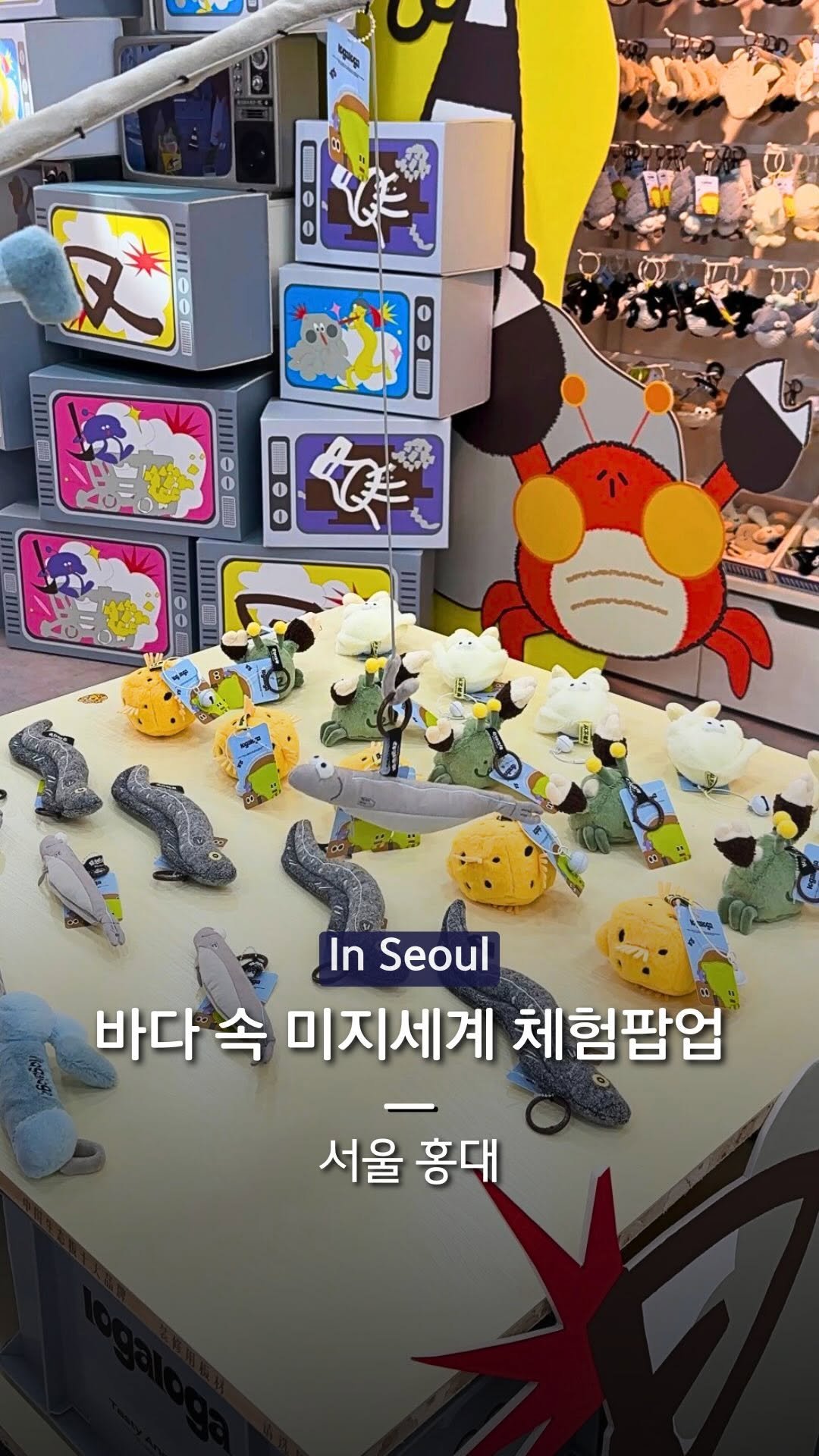 hanba_tang_ 게시물 이미지: 캐릭터마다 숨겨진 재미가 있는
홍대 체험형 인형 팝업을 소개합니다!...