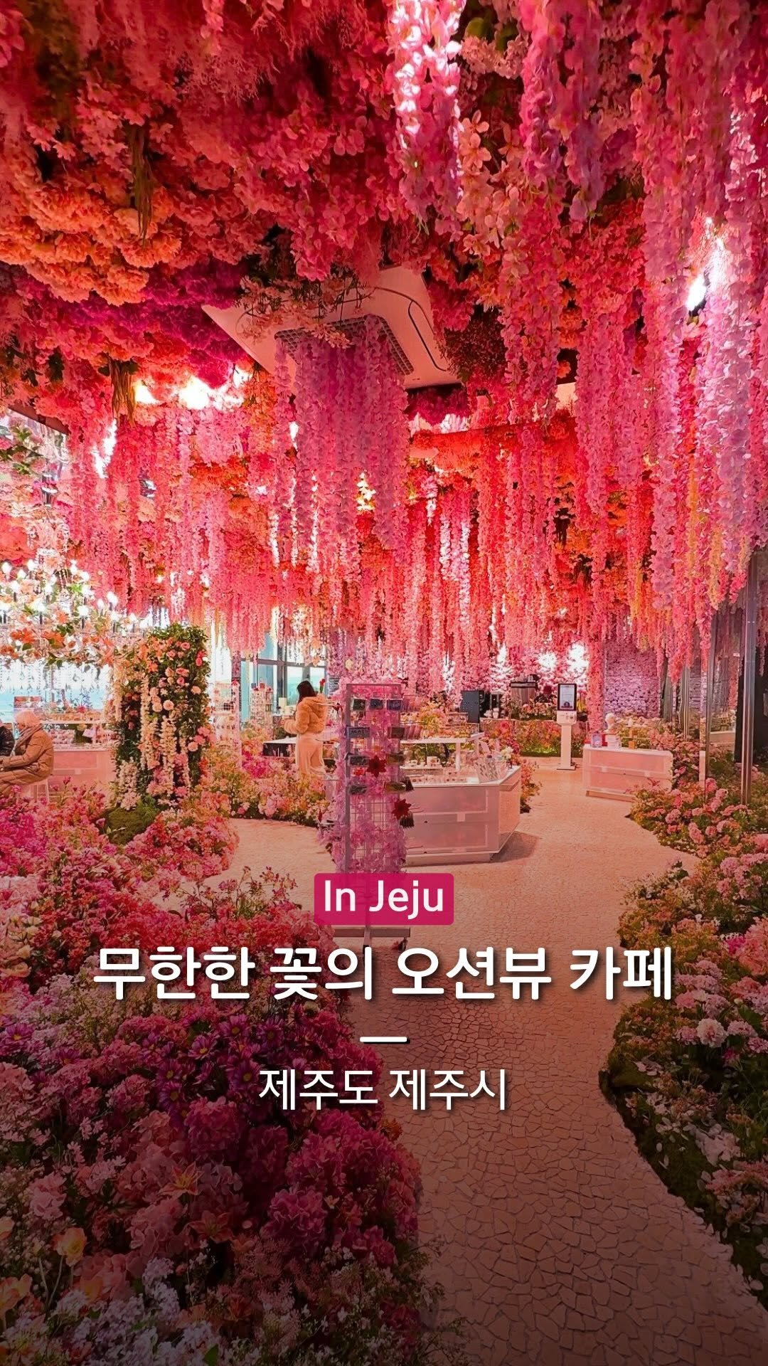 hanba_tang_ 게시물 이미지: 동화 같은 핑크빛 세계가 펼쳐지는
제주도 오션뷰 전시 카페를 소개합니다 🌸...