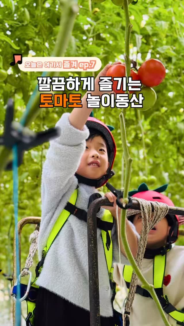 hanbab_nadree 게시물 이미지: ✨(저장공유)흙 안묻는 깔끔한 농장체험! 토마토 놀이동산 다녀왔어요!

초록빛...