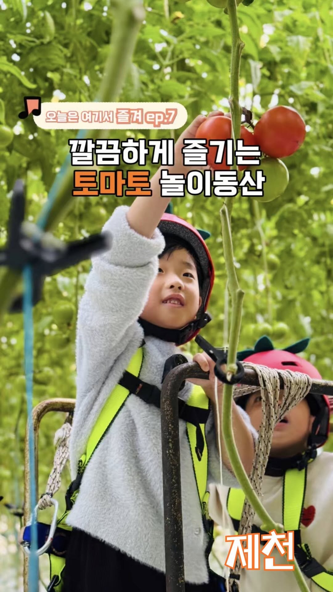 hanbab_nadree 게시물 이미지: ✨(저장공유)흙 안묻는 깔끔한 농장체험! 토마토 놀이동산 다녀왔어요!

초록빛...