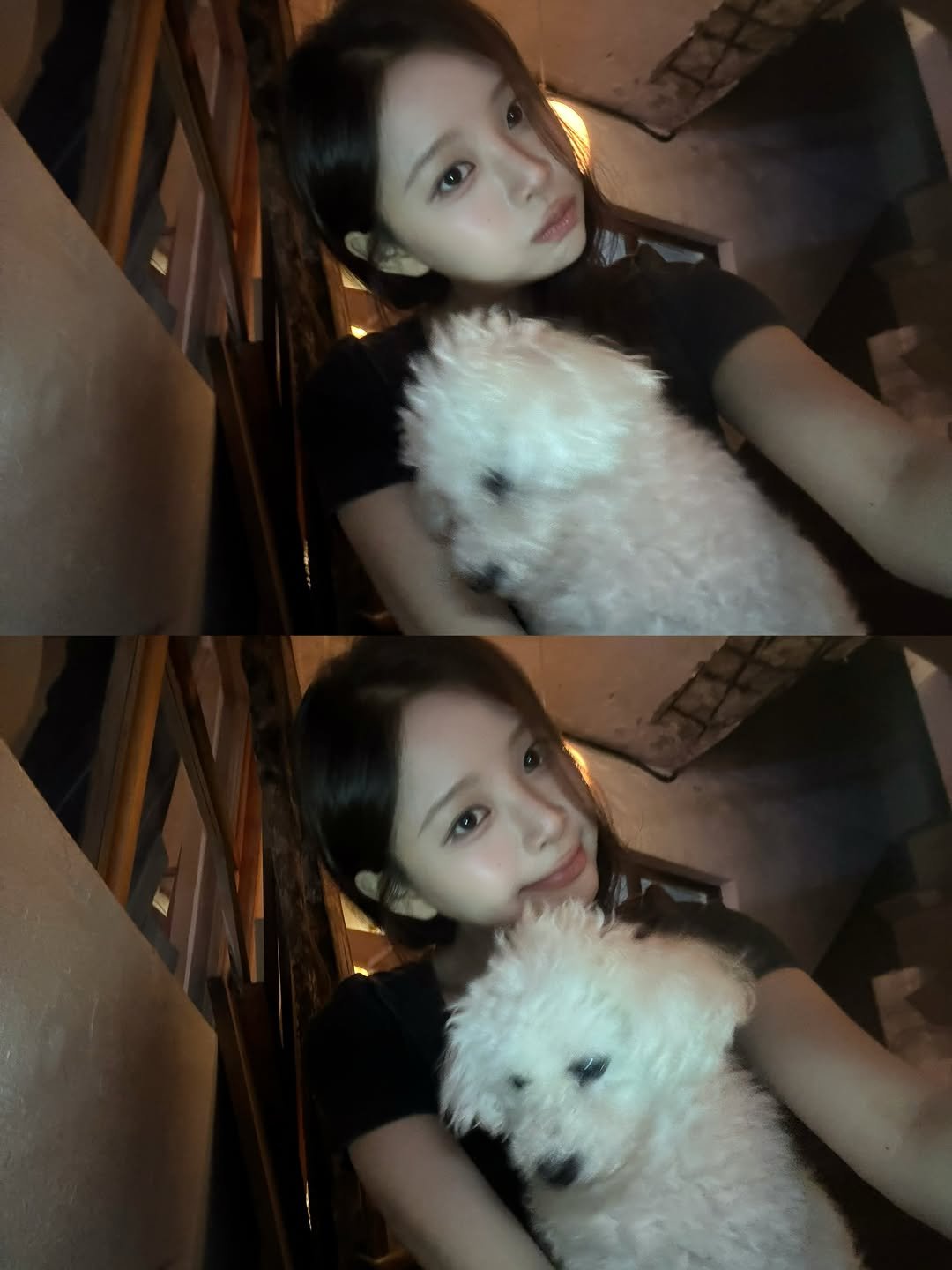 hand_yura 게시물 이미지: 고구마만 쳐다보는 가나디🍠