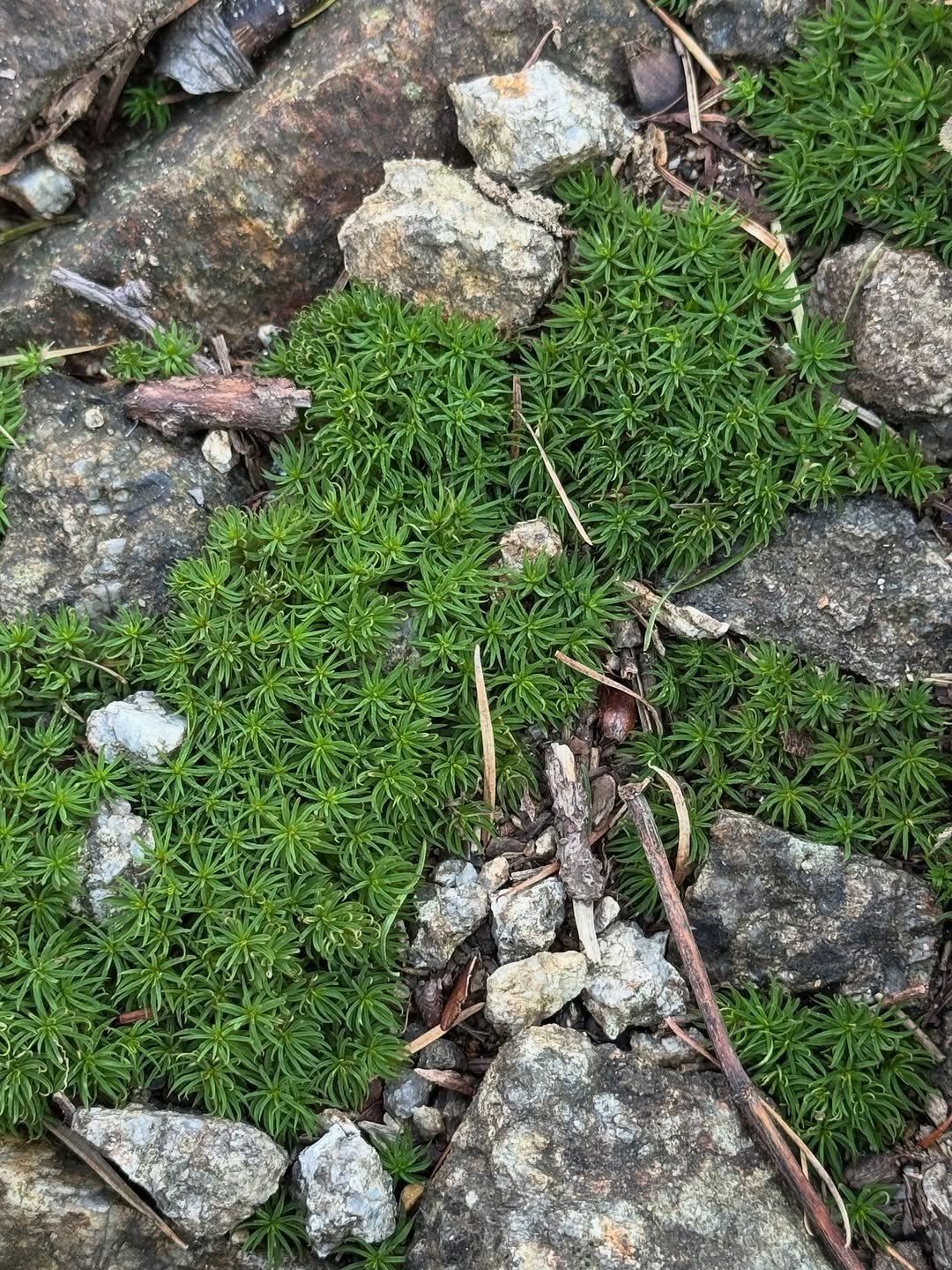 Photo by 한지현 on November 04, 2025. May be an image of text.