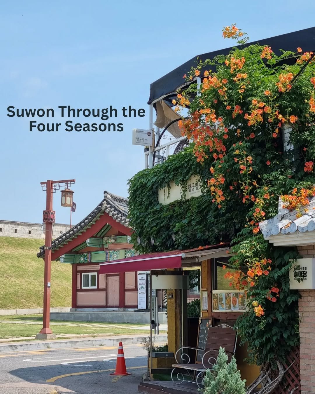 hanjwonn 게시물 이미지: Suwon Through the Four Seasons 

Spring —...