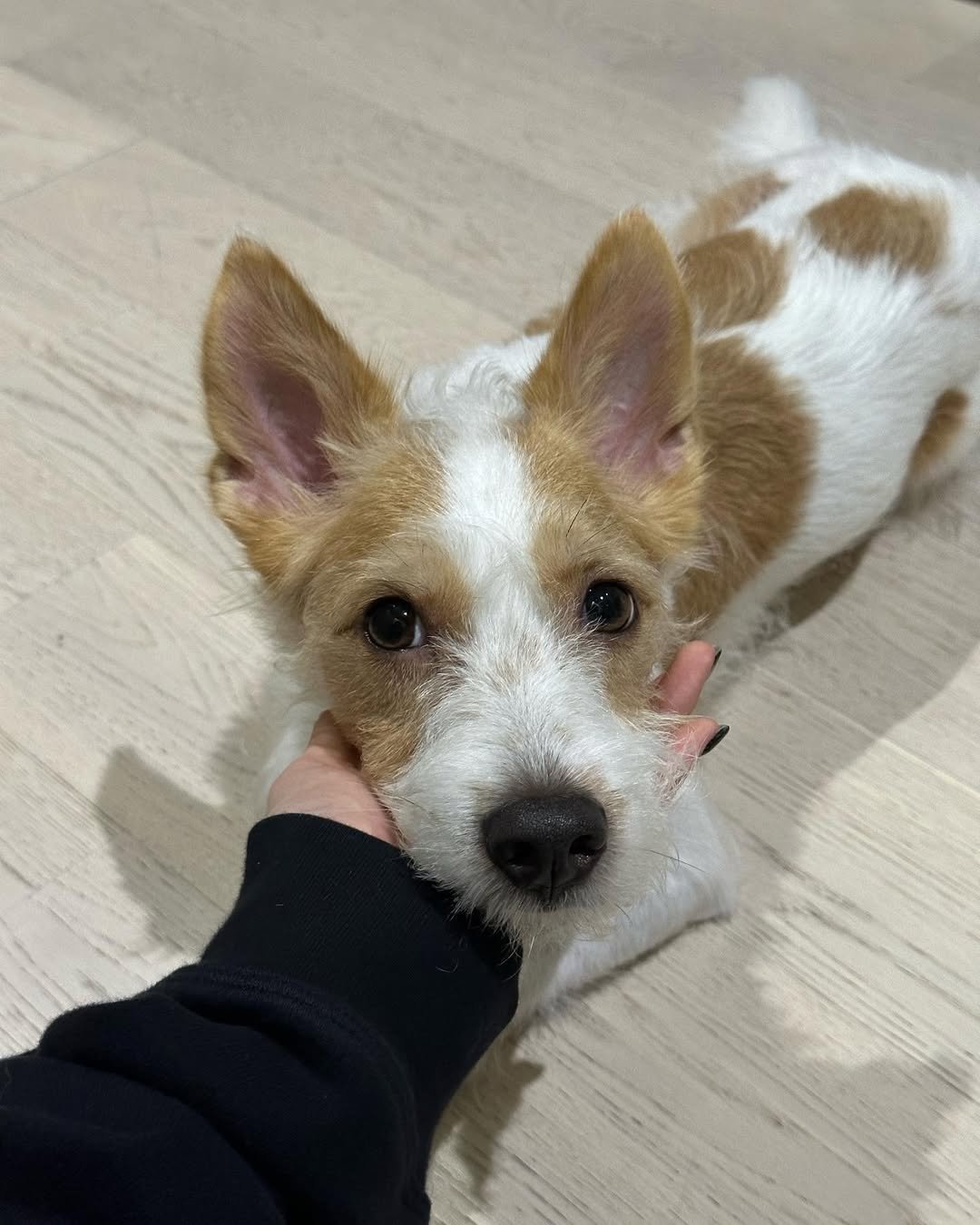 Photo by HANK on July 18, 2023.