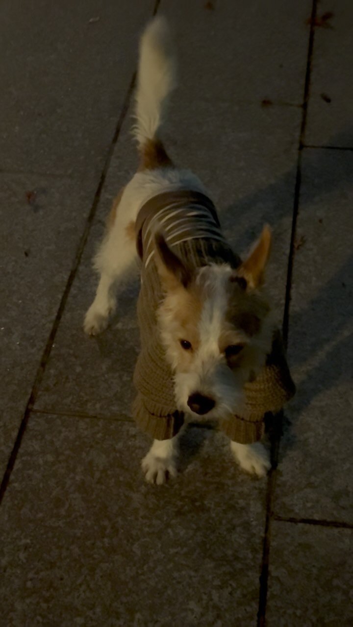 hank_says_hank 게시물 이미지: 🤎