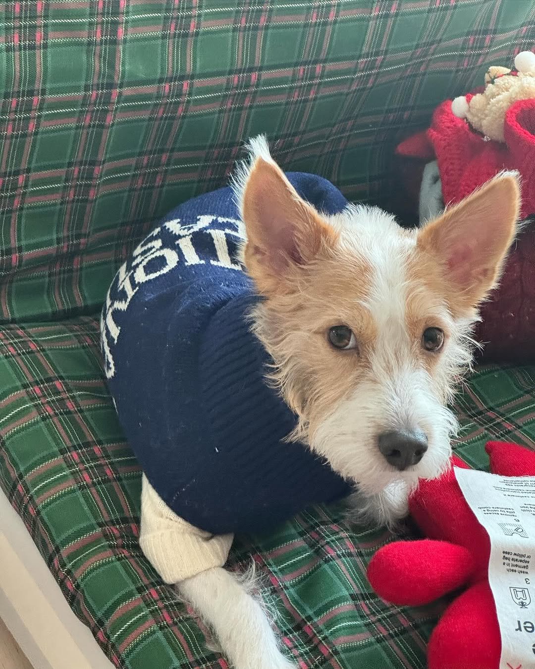 Photo by HANK on December 07, 2023.